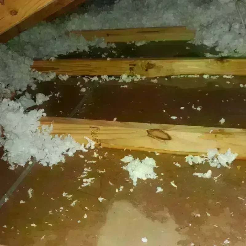 Attic Water Damage in New Britain, CT